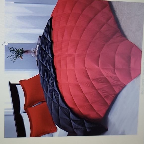 Basic Beyond Bedding Basic Beyond King 3 Pc Redblack Reversible